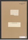 Diatomeae indet. Zeichnungen Sammlung Grunow Nr. 3763 (NHMW-BOT-W0371421)